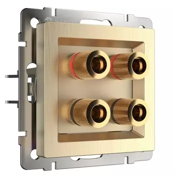 Акустическая розетка (шампань рифленый) Werkel W1185010 (a051421)