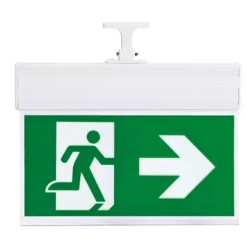 Аварийный светильник светодиодный ЭРА SSA-103-1-20