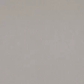 BN 217574 Обои BN (Tailor) (1*6) 10,05x1,06 винил на флизелине (BN International)