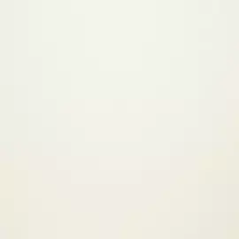 BN 249351 Обои BN (Tailor) (1*6) 10,05x1,06 винил на флизелине (BN International)