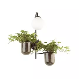 Бра Flower 4681/1W (Odeon Light)