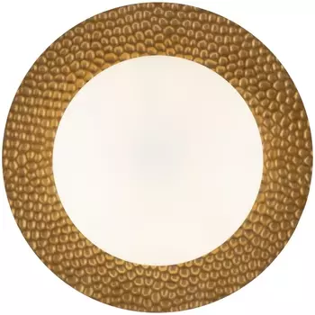 Бра настенное Freya Camelia FR5202WL-01BS в форме шара