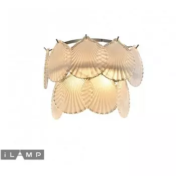 Бра в виде ракушки W2546-2 NIC iLamp Soho