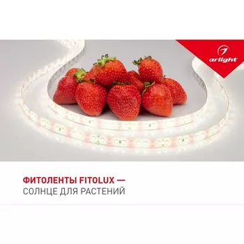 Буклет FITOLUX. 2022 (Arlight, -) 038910(22)