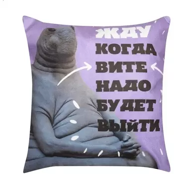 Декоративная подушка Dreambag Ждун 4 4529900