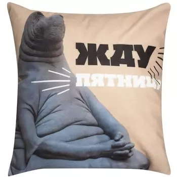 Декоративная подушка Dreambag Ждун 5 4530000