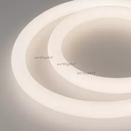 Герметичная лента MOONLIGHT-5000S-ROUND-2835-336-24V Day (25х25mm, 14.4W, IP65) (14.4 Вт/м, IP65) 031424 (Arlight)