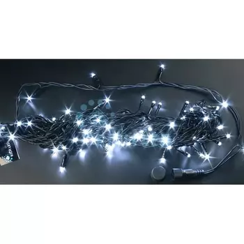 Гирлянда светодиодная белая с мерцанием 24B, LED, провод черно-зеленый, IP54 Rich LED RL-S100FF-24V-BG/W