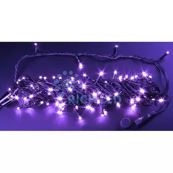 Гирлянда светодиодная фиолетовая постоянного свечения 24B, LED, провод черный, IP54 Rich LED RL-S10C-24V-B/V