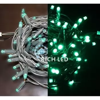 Гирлянда светодиодная зеленая постоянного свечения 220B, LED, провод зеленый, IP65 Rich LED RL-S10C-220V-C2G/G