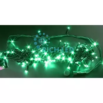 Гирлянда светодиодная зеленая постоянного свечения 24B, LED, провод черный, IP54 Rich LED RL-S10C-24V-B/G