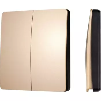 INTELLIGENT ARLIGHT Кнопочная панель KINETIC-801-22-2G-WP-SUF Gold (No battery, IP67, 433Mhz) (IARL, IP67 Пластик, 3 года) 043313 Arlight