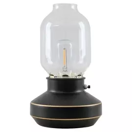 Интерьерная настольная лампа с выключателем Anchorage LSP-0569 (Lussole)