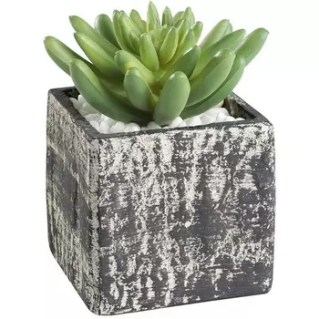 Искусственное растение в горшке Eglo Chitose 428007 L75, B75, H120, пластик, серый