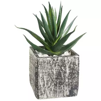 Искусственное растение в горшке Eglo Chitose 428008 L95, B95, H130, пластик, серый