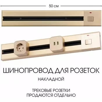 Электроустановочный шинопровод накладной с выключателем Arte Milano Am-track-sockets 385205TOB/50 Gold