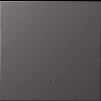 Клавиша 1-я с подсветкой, матовый титан Donel S08 DS29045