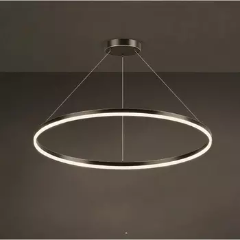 Кольцевой подвесной светильник LED Cruise One Lux D60 ImperiumLoft Cruise-One-Lux01 (204621-23)