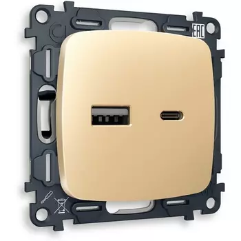 Комплект механизма Ambrella Volt розетки OMEGA MO611010 Шампань 2USB A+C 20W быстрая зарядка QUANT