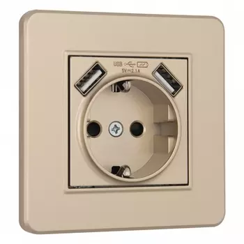Комплект розетки с заземлением, шторками, USBх2 и рамкой (шампань) Arte Milano SET16-1 SET16-1-47-1 shampan