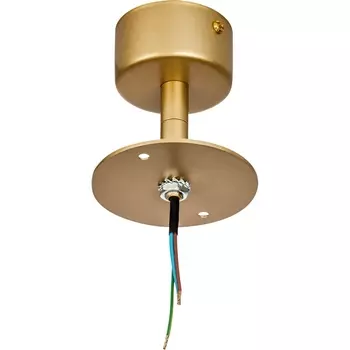 Крепление потолочное Lightstar Rullo 590110