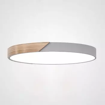 Потолочный светильник круглый LED в гостиную Lu Carte LC-11-1234