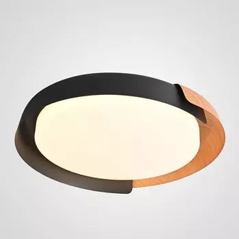 Потолочный светильник круглый с пультом LED в гостиную Lu Carte LC-11-1733