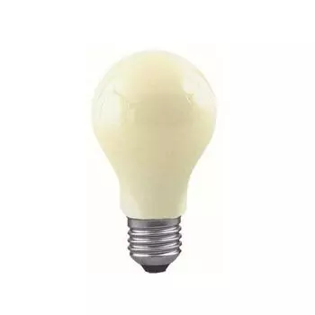 Лампочка накаливания Anti Insecta 46060 (Paulmann)