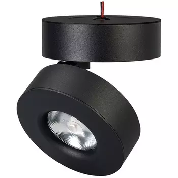 LED спот SP-MONA-SURFACE-R100-12W Day4000 (BK, 24 deg) (Arlight, IP40 Металл, 3 года) 025442(1)