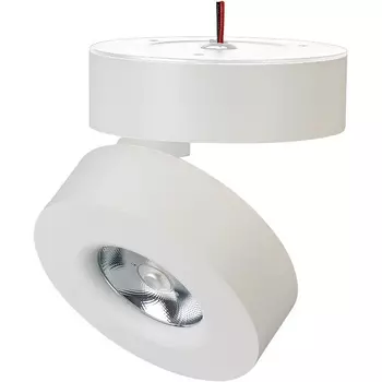 LED спот SP-MONA-SURFACE-R100-12W Day4000 (WH, 24 deg) (Arlight, IP40 Металл, 3 года) 025439(1)