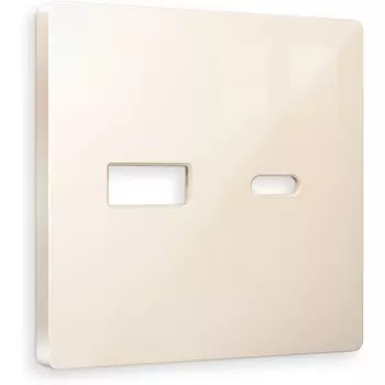 Лицевая панель Ambrella Volt ALFA (Бежевый глянец) для розетки 2USB тип A+C QUANT AP3110