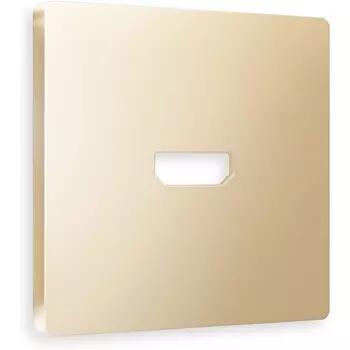 Лицевая панель Ambrella Volt ALFA (Шампань) для HDMI розетки QUANT AP6140