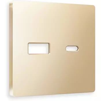 Лицевая панель Ambrella Volt ALFA (Шампань) для розетки 2USB тип A+C QUANT AP6110