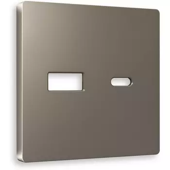 Лицевая панель Ambrella Volt ALFA (Темная бронза матовый) для розетки 2USB тип A+C QUANT AP6410