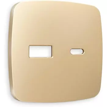 Лицевая панель Ambrella Volt OMEGA (Шампань) для розетки 2USB тип A+C QUANT OP6110