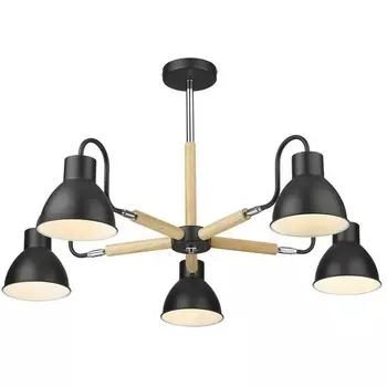 Люстра потолочная на штанге Velante 230-023-05