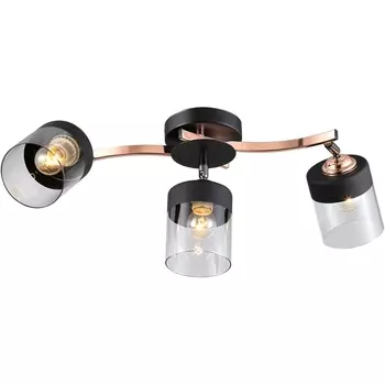 Люстра потолочная на штанге Diana 9116-303 3 * Е27 40 Вт (Rivoli)