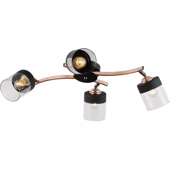 Люстра потолочная на штанге Diana 9116-304 4 * Е27 40 Вт (Rivoli)