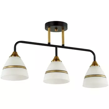 Потолочная люстра на штанге черный, бронзовый E27 3*60W Lumion Nettie 5214/3CA