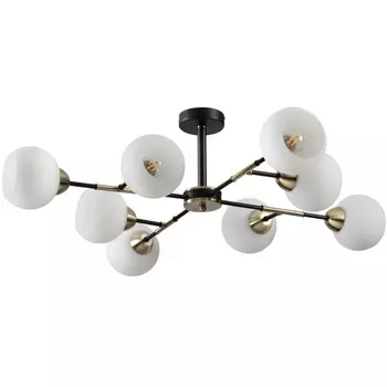 Люстра потолочная черный, E27 8*40W Lumion Rowan 4595/8C