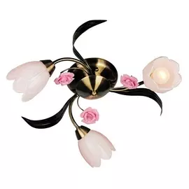 Люстра розы OML-38507-03 (Omnilux)