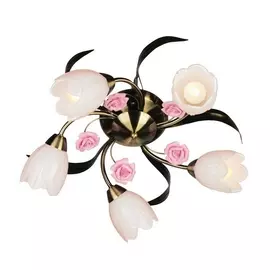 Люстра розы OML-38507-05 (Omnilux)
