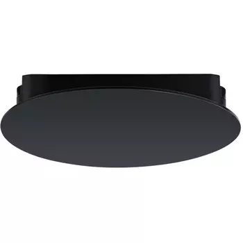 Магнитный трековый светильник LED 48V Arte Lamp Rapid A6163PL-1BK