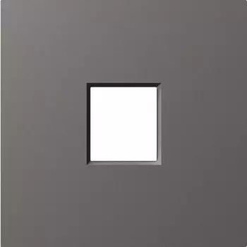 Накладка 1-я для розеток RJ45,TV,SAT, матовый титан Donel A07 DE85945