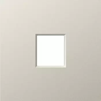 Накладка 1-я для розеток RJ45,TV,SAT, матовый кашемир Donel A07 DE85935