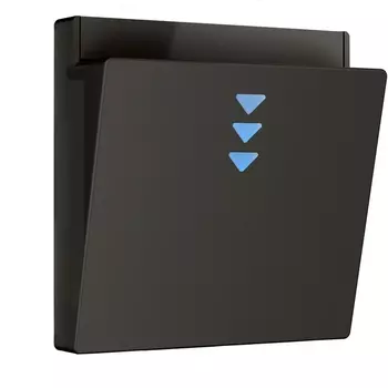 Накладка для электронного карточного выключателя (черный) Werkel W1163108 (a062006)