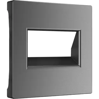 Накладка для двойной розетки Еthernet RJ-45 (графит матовый) Werkel W1191164 (a063114)