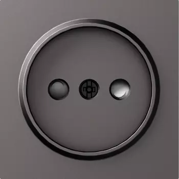 Накладка для розетки без заземления, со шторками 16A 250 В~, матовый титан Donel A07 DE21645