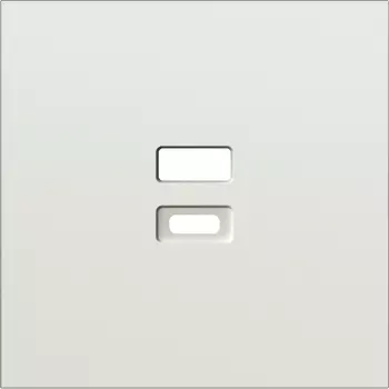 Накладка для розеток USB, шампань Donel S08 DS28651