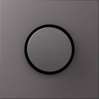 Накладка для светорегулятора поворотного, матовый титан Donel S08 DS65045